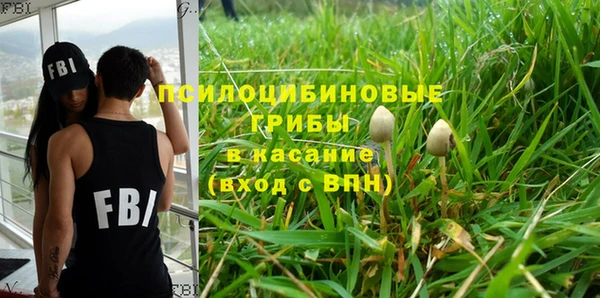 прущий лед Алзамай