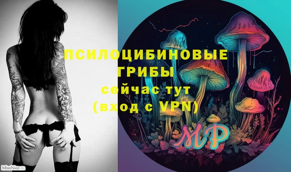 дурь Алексин
