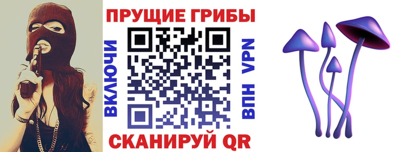 Псилоцибиновые грибы мухоморы Хвалынск